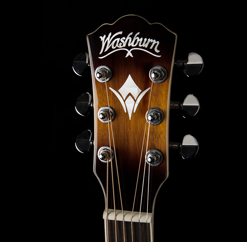 Washburn Guitars