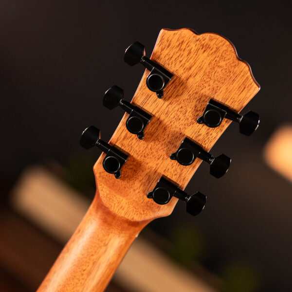 Washburn Bella Tono Vite gallery headstock