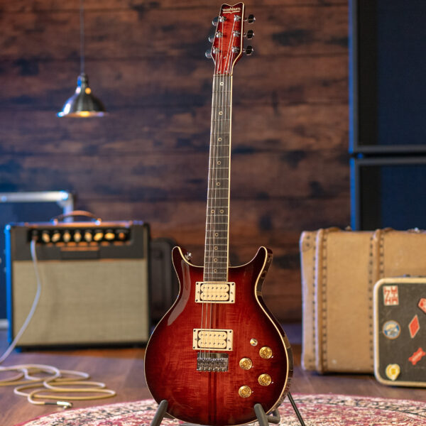 Washburn American Hawk '78 guitar