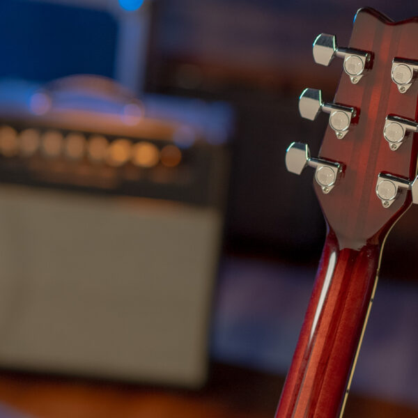 Washburn American Hawk '78 guitar back of headstock